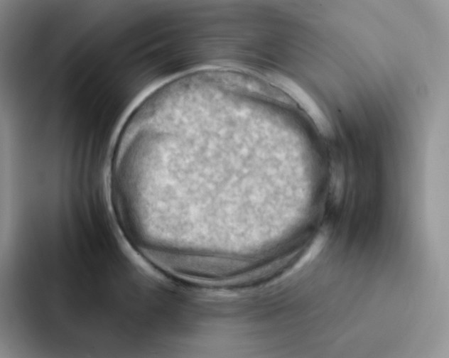 X0000086941100200705141757