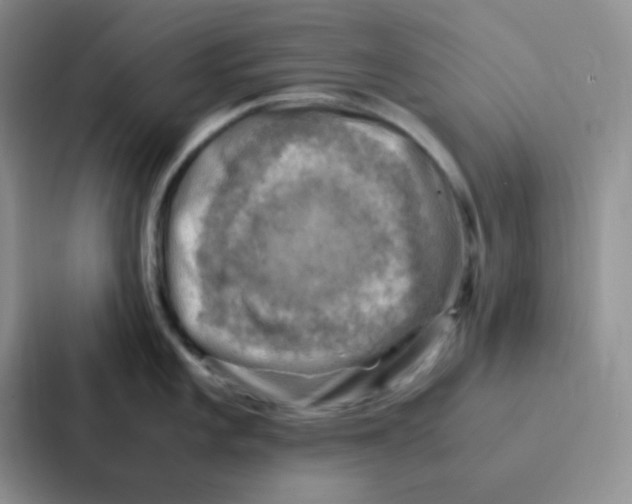 X0000086941101200705141757