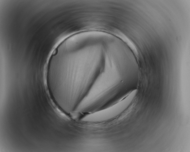 X0000086941102200705141757