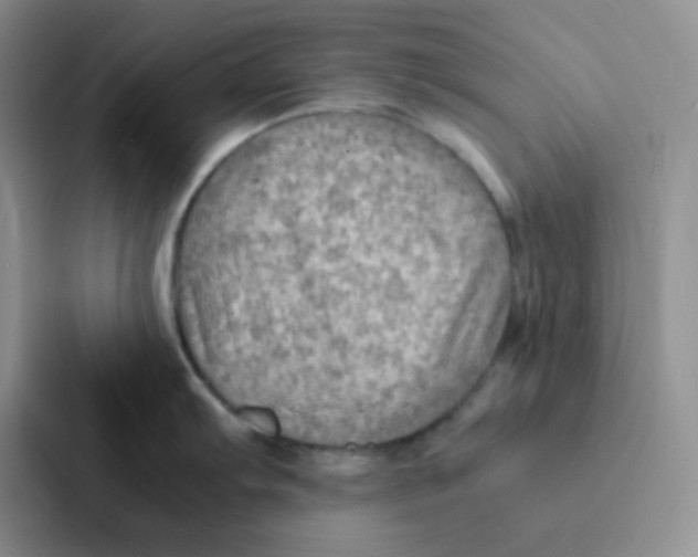 X0000086941103200705141757