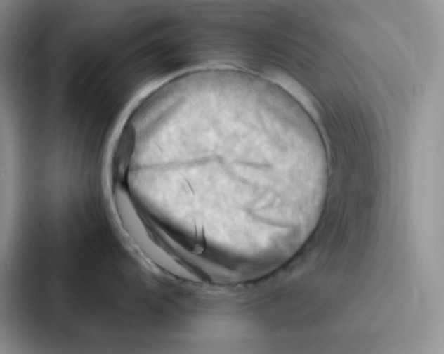 X0000086941104200705141757