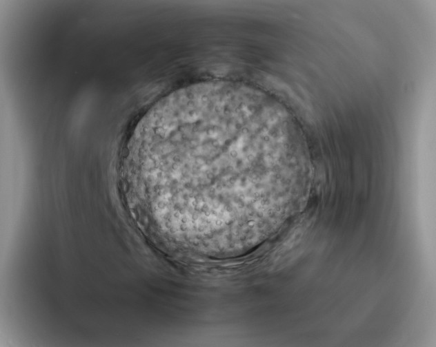 X0000086941105200705141756