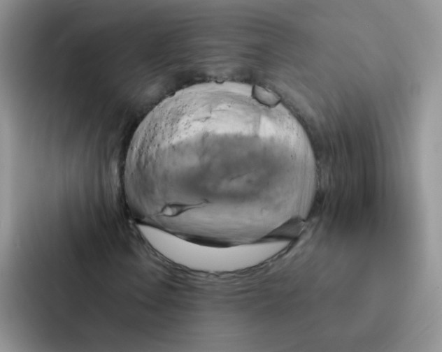 X0000086941106200705141756