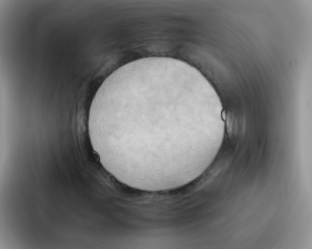 X0000086941107200705141756