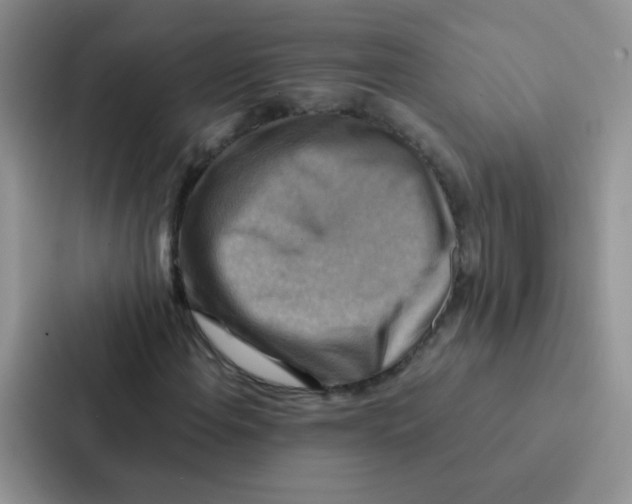 X0000086941108200705141756