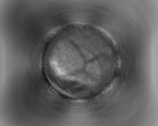 X0000086941110200705141756