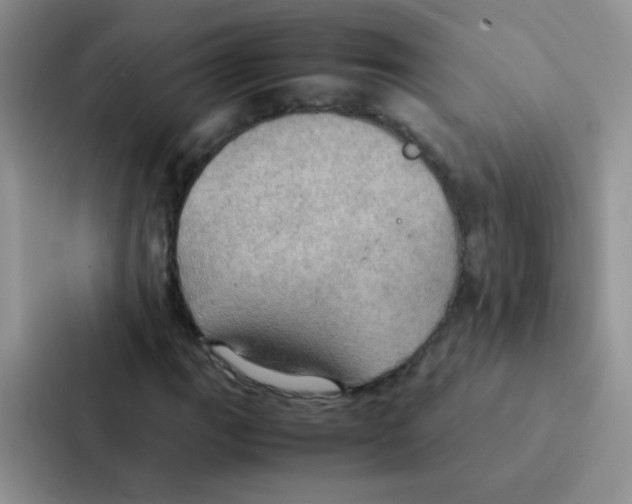 X0000086941111200705141756