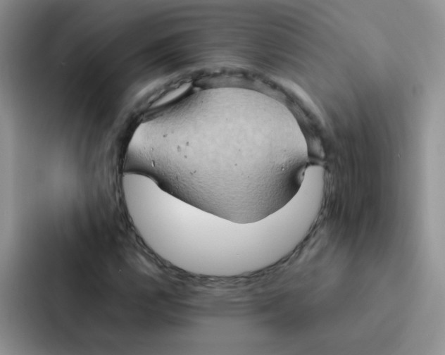 X0000086941112200705141756