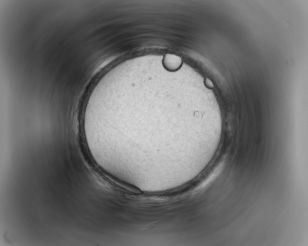 X0000086941113200705141756