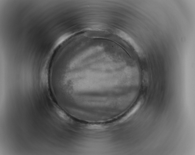 X0000086941114200705141756