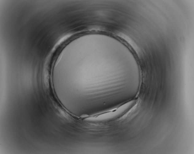 X0000086941115200705141757