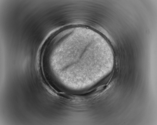 X0000086941116200705141757