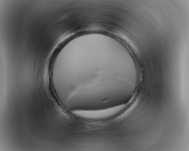 X0000086941117200705141757