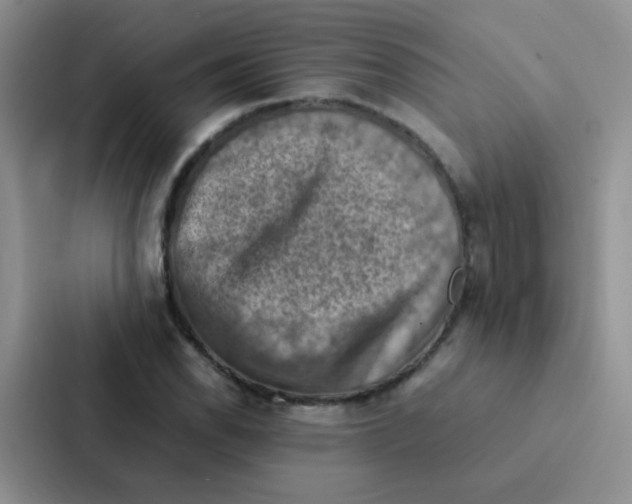 X0000086941118200705141757