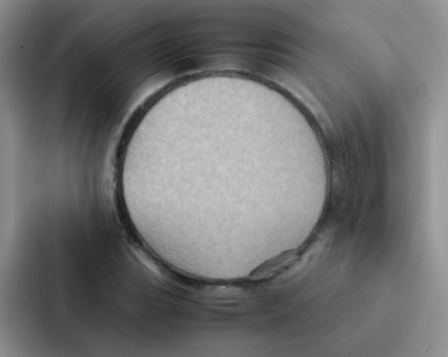 X0000086941119200705141757