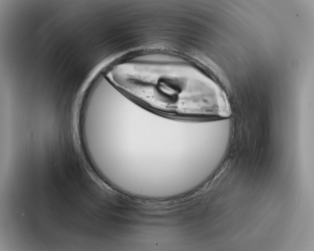 X0000086941120200705141757