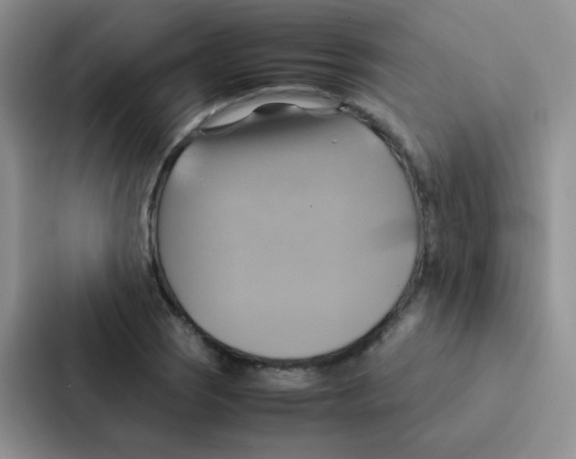 X0000086941121200705141757