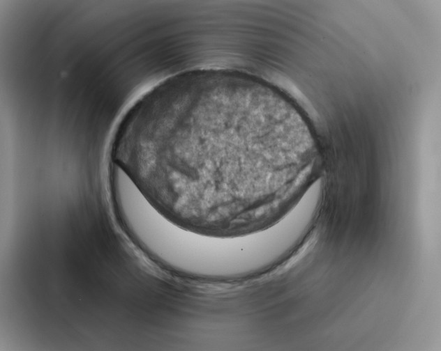 X0000086941122200705141757