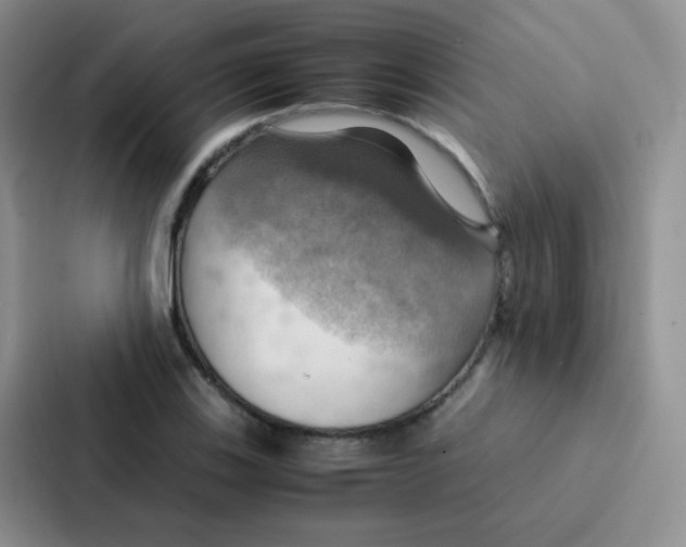 X0000086941123200705141757