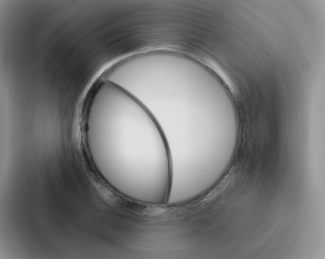 X0000086941124200705141757