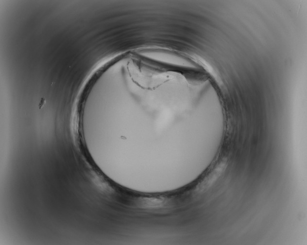 X0000086941125200705141757