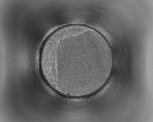 X0000086941126200705141757