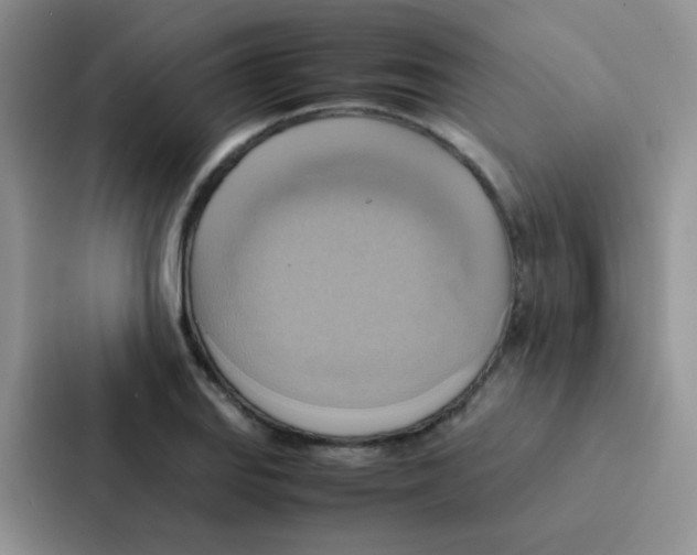 X0000086941127200705141757