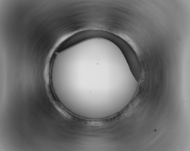 X0000086941128200705141757