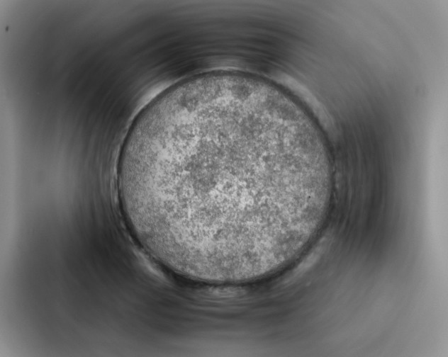 X0000086941129200705141757