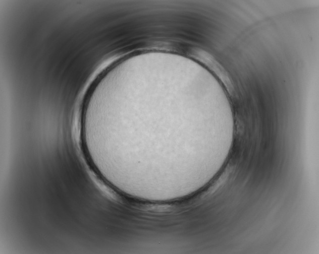 X0000086941131200705141757