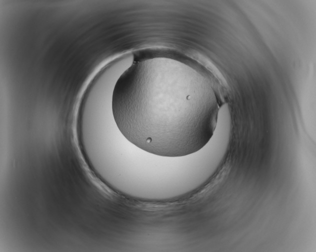 X0000086941132200705141757