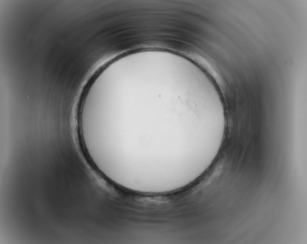 X0000086941133200705141757