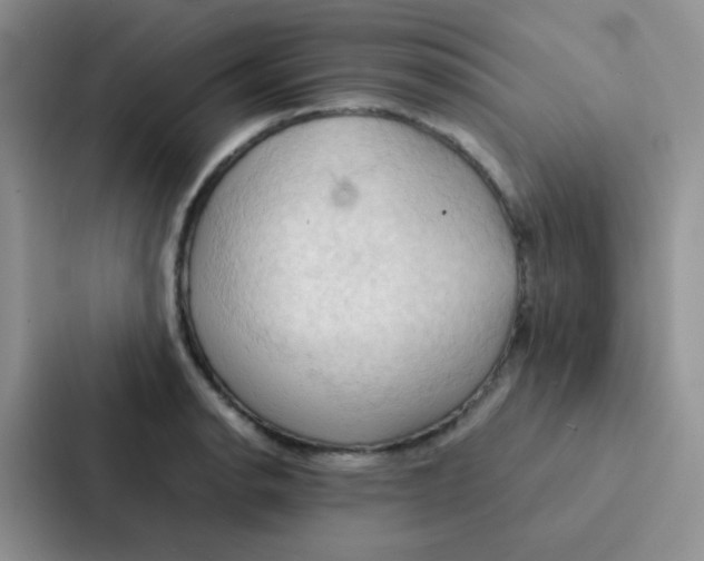 X0000086941134200705141757