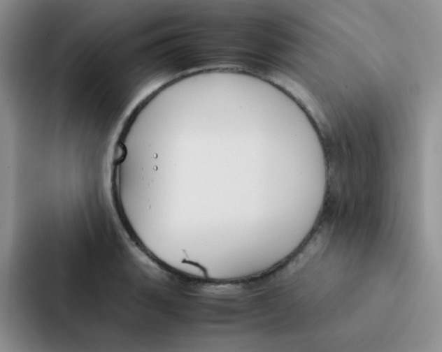 X0000086941135200705141757