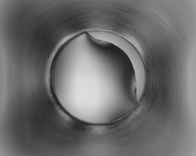 X0000086941136200705141757