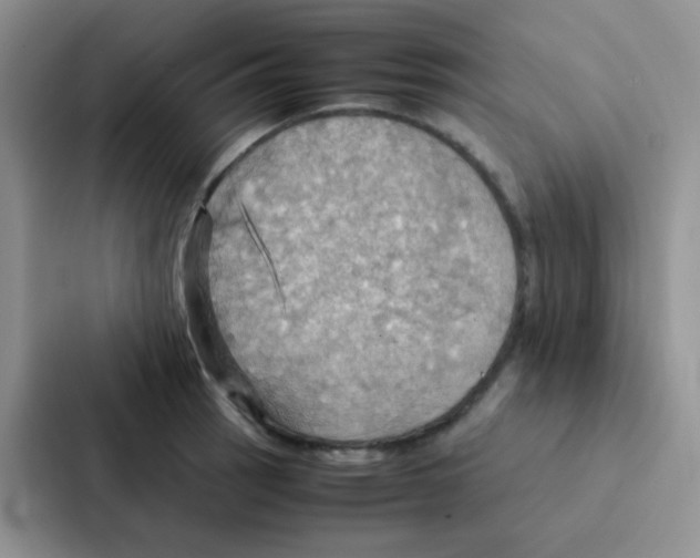 X0000086941137200705141757