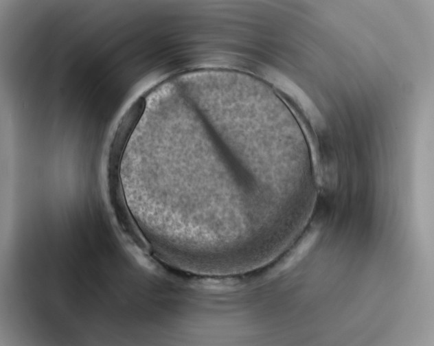 X0000086941138200705141757