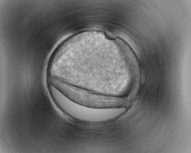 X0000086941139200705141757