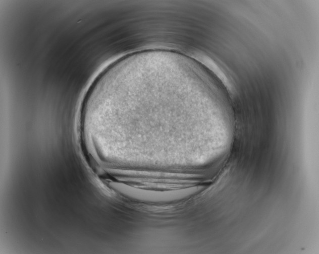 X0000086941140200705141757