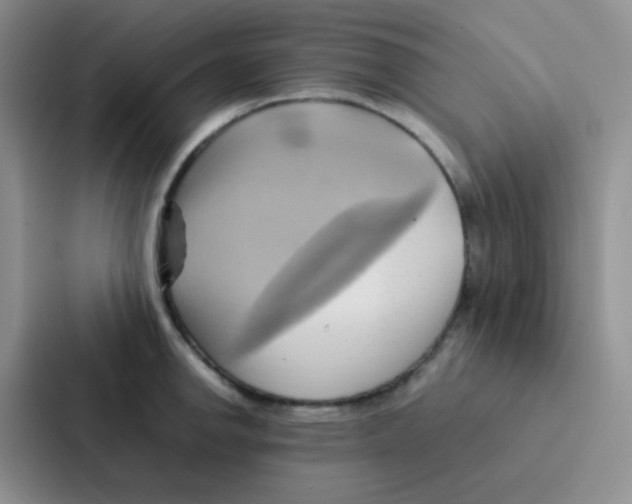 X0000086941142200705141757