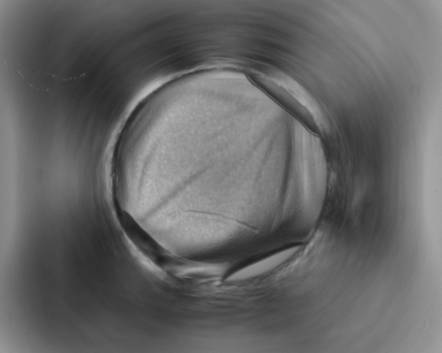 X0000086941143200705141757