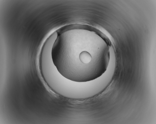 X0000086941144200705141757