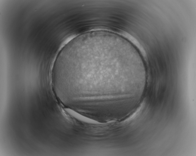 X0000086941145200705141757