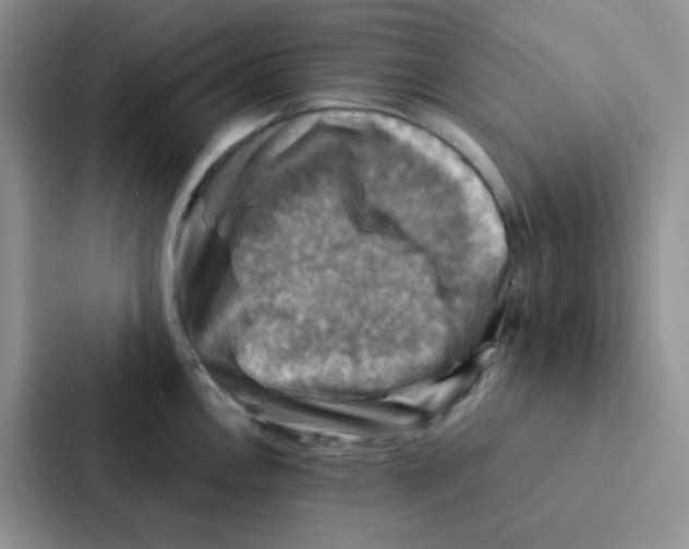 X0000086941146200705141757