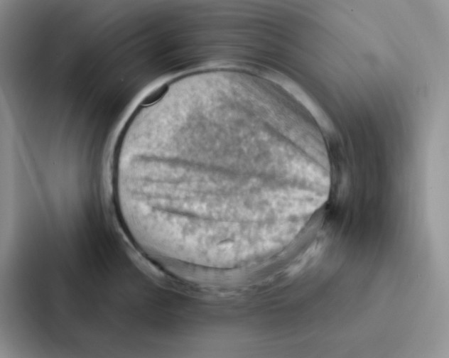 X0000086941148200705141757