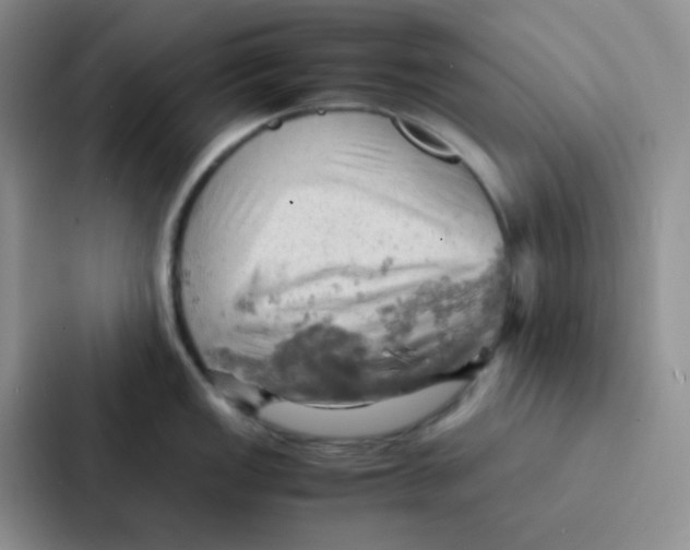 X0000086941149200705141757