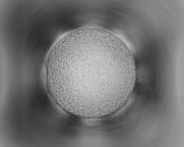 X0000086941150200705141757