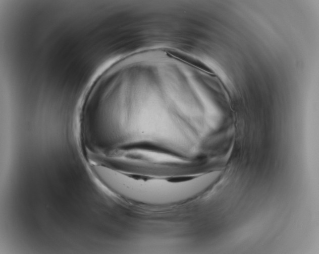 X0000086941151200705141757