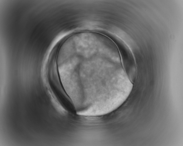 X0000086941152200705141757