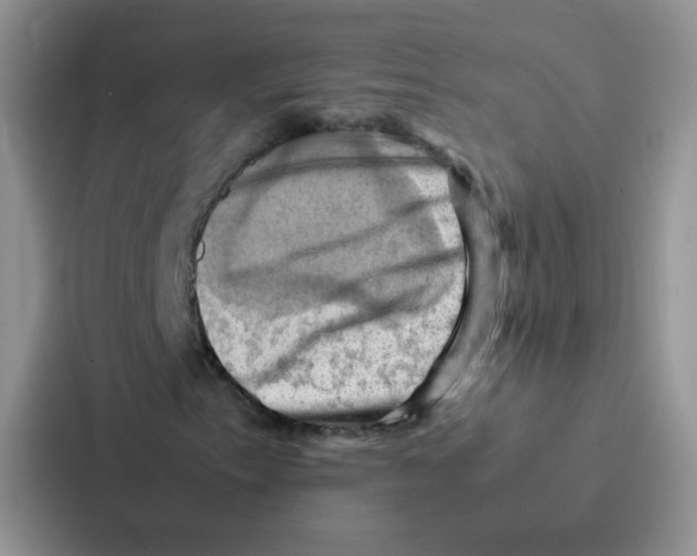 X0000086941153200705141756